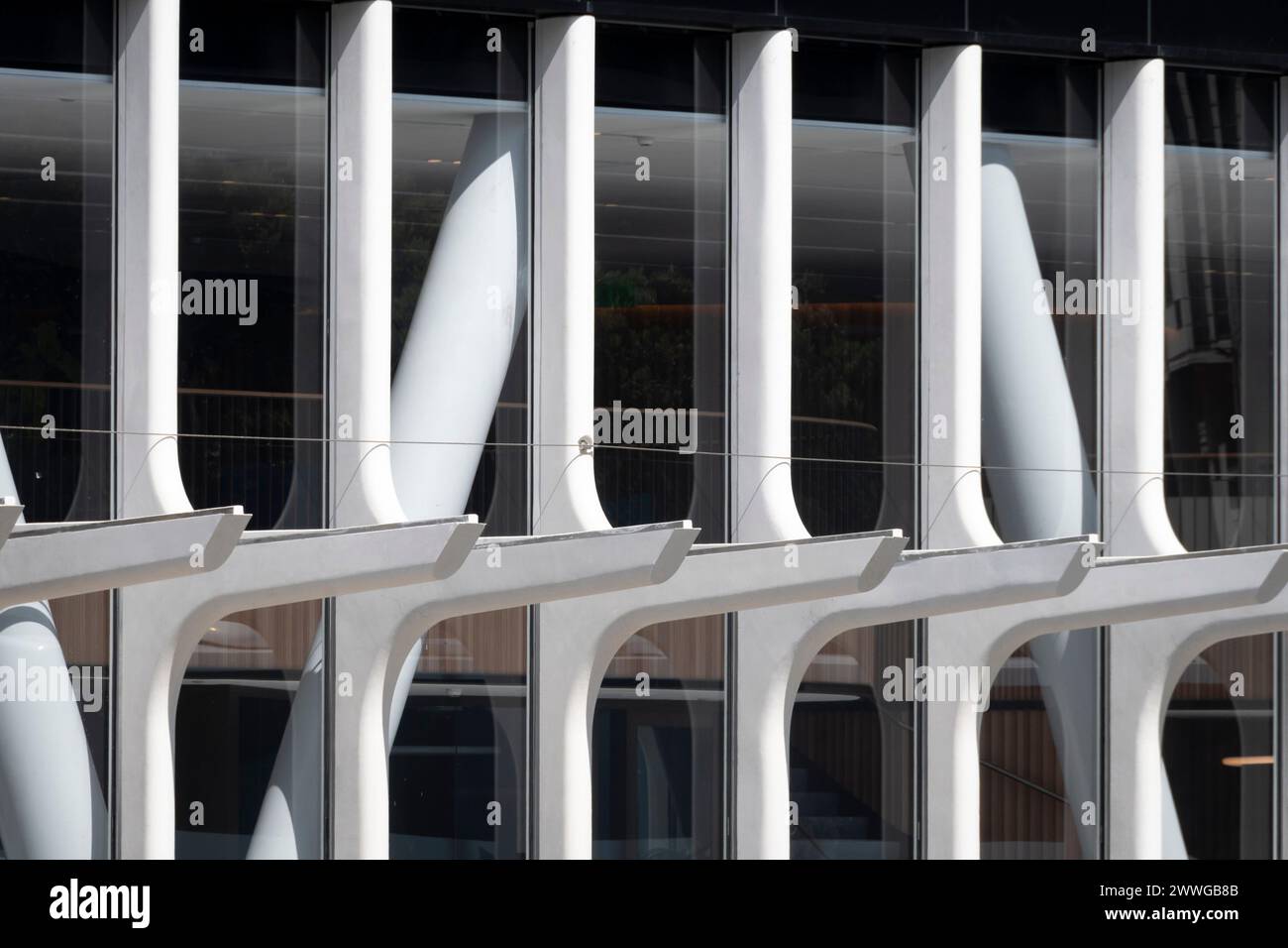 Verandastützen auf fast fertiggestelltem Gebäude in Wellington, Nordinsel, Neuseeland Stockfoto