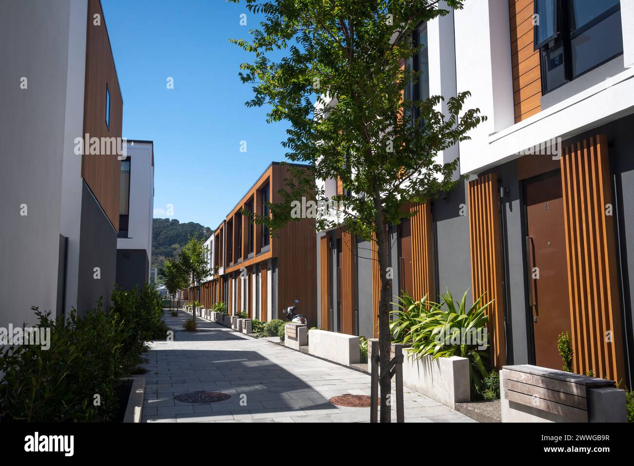 Fußgängerzugang in moderner Wohnsiedlung, Wellington, Nordinsel, Neuseeland Stockfoto