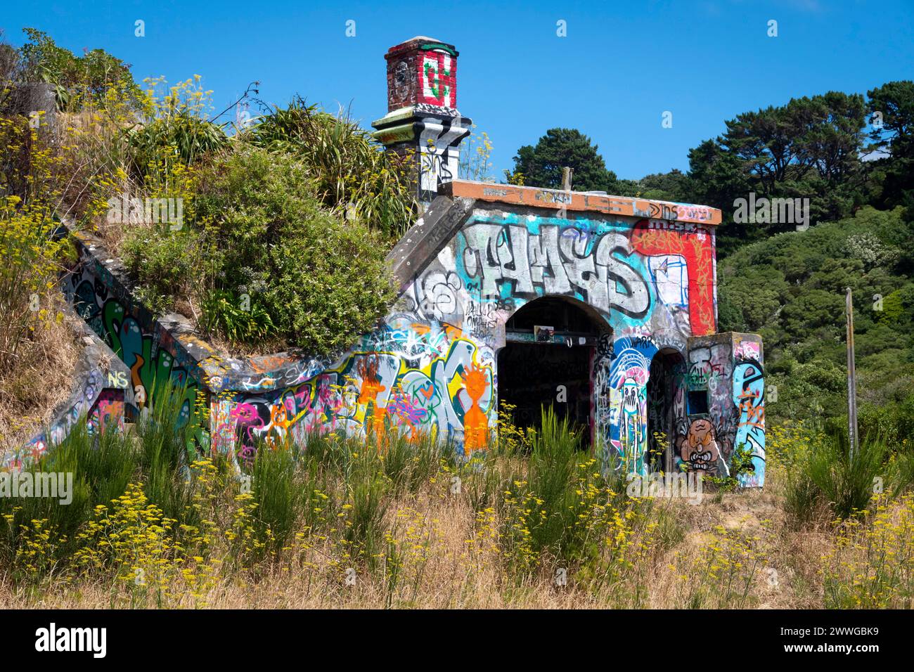 Mit Graffiti bedeckte Waffenlager, Fort Balance, Wellington, Nordinsel, Neuseeland. Schwere Geschütze hier schützten den Hafen von Wellington im 2. Weltkrieg. Stockfoto