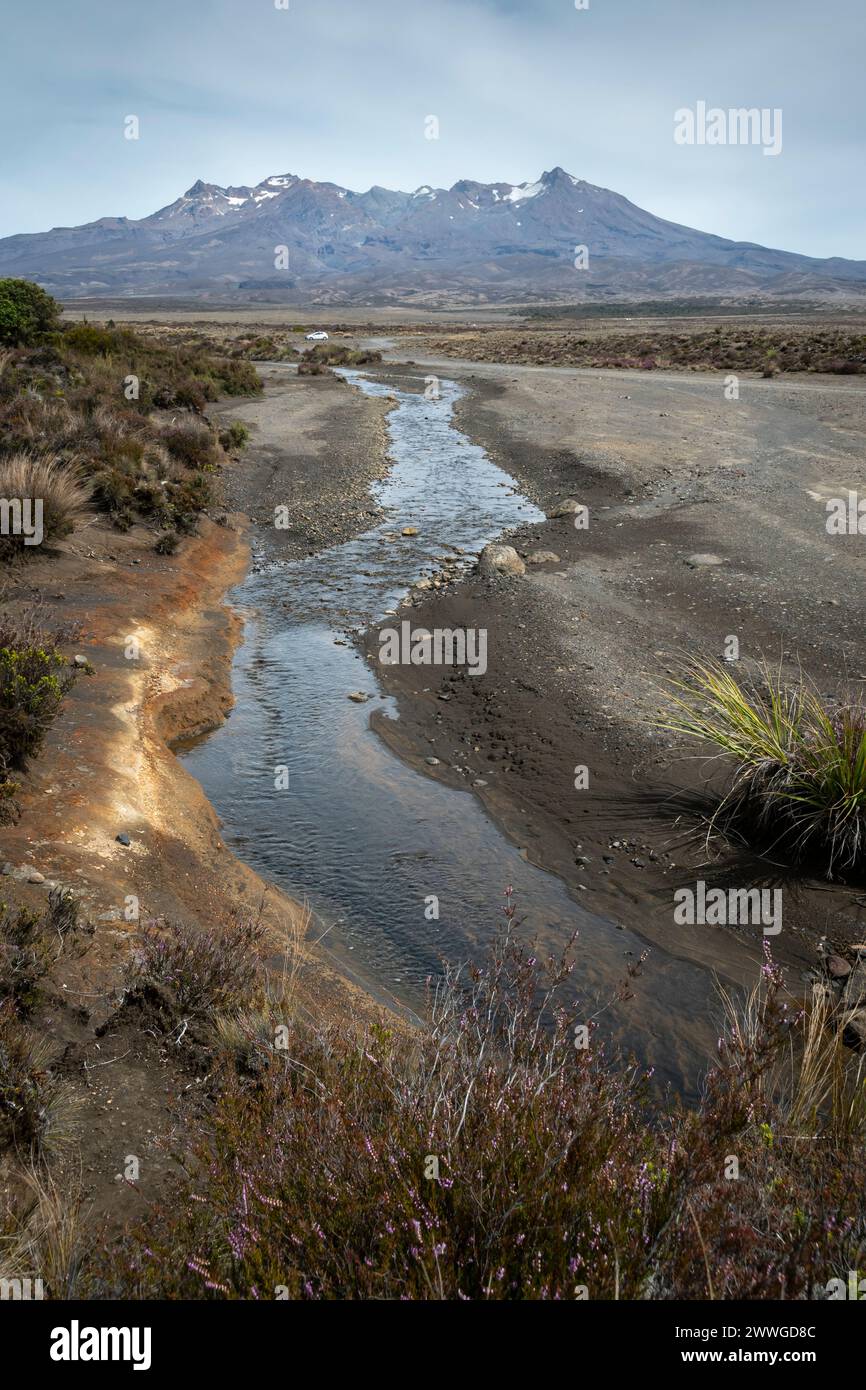 Little Waikato Stream, Rangipo Wüste, Mount Ruapehu, Tongariro Nationalpark, Nordinsel, Neuseeland Stockfoto