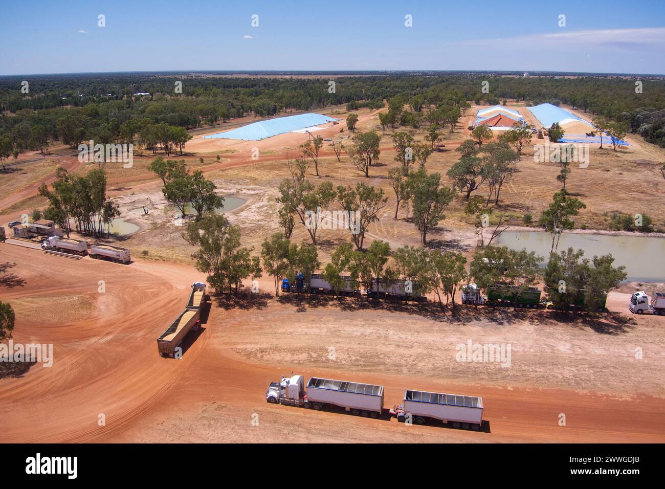Das Gums GrainCorp Depot auf den Darling Downs Queensland Australien Stockfoto