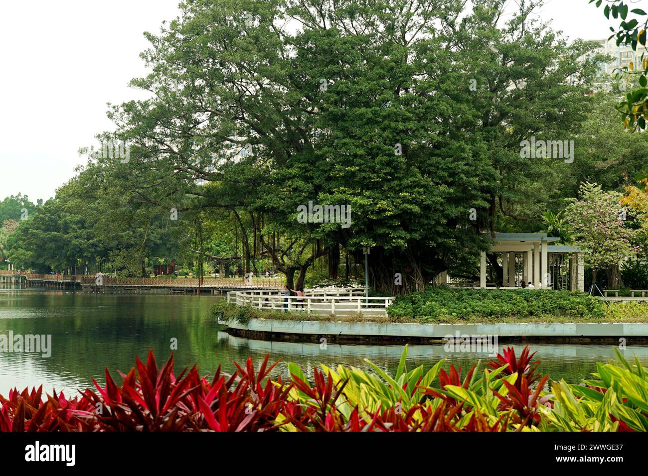 Ruhiger, grüner Park mit Brücke und Bank über stillen Gewässern Stockfoto