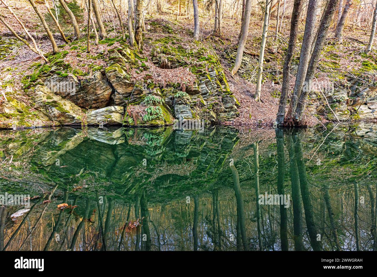 Unterwegs im Selketal Harz Stockfoto