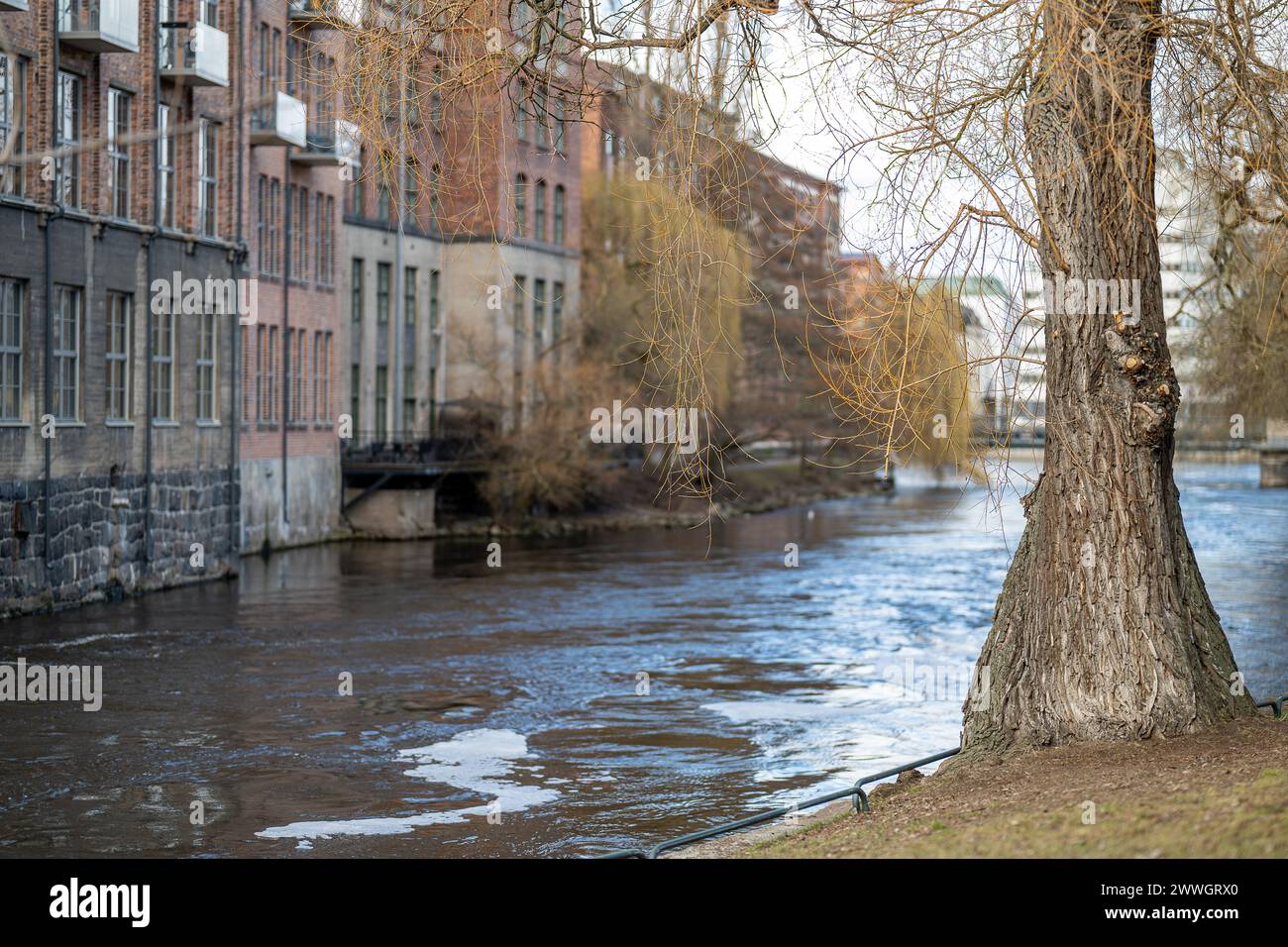 Motala-Fluss vom Wasserpark Strömparken im Frühling in Norrköping aus gesehen. Norrköping ist eine historische Industriestadt in Schweden Stockfoto