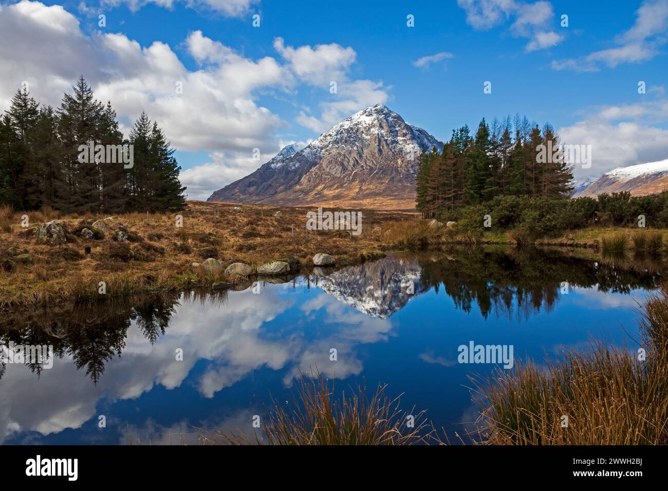 Lochaber, Schottland, Großbritannien. 24. März 2024. Das schneebedeckte Buachaille Etive Mor ist in der Sonne gebadet und spiegelt sich in einem dekorativen Teich im Kingshouse Hotel wider. Bei einer Temperatur von 10 Grad Celsius. Quelle: Arch White/Alamy Liive News Stockfoto