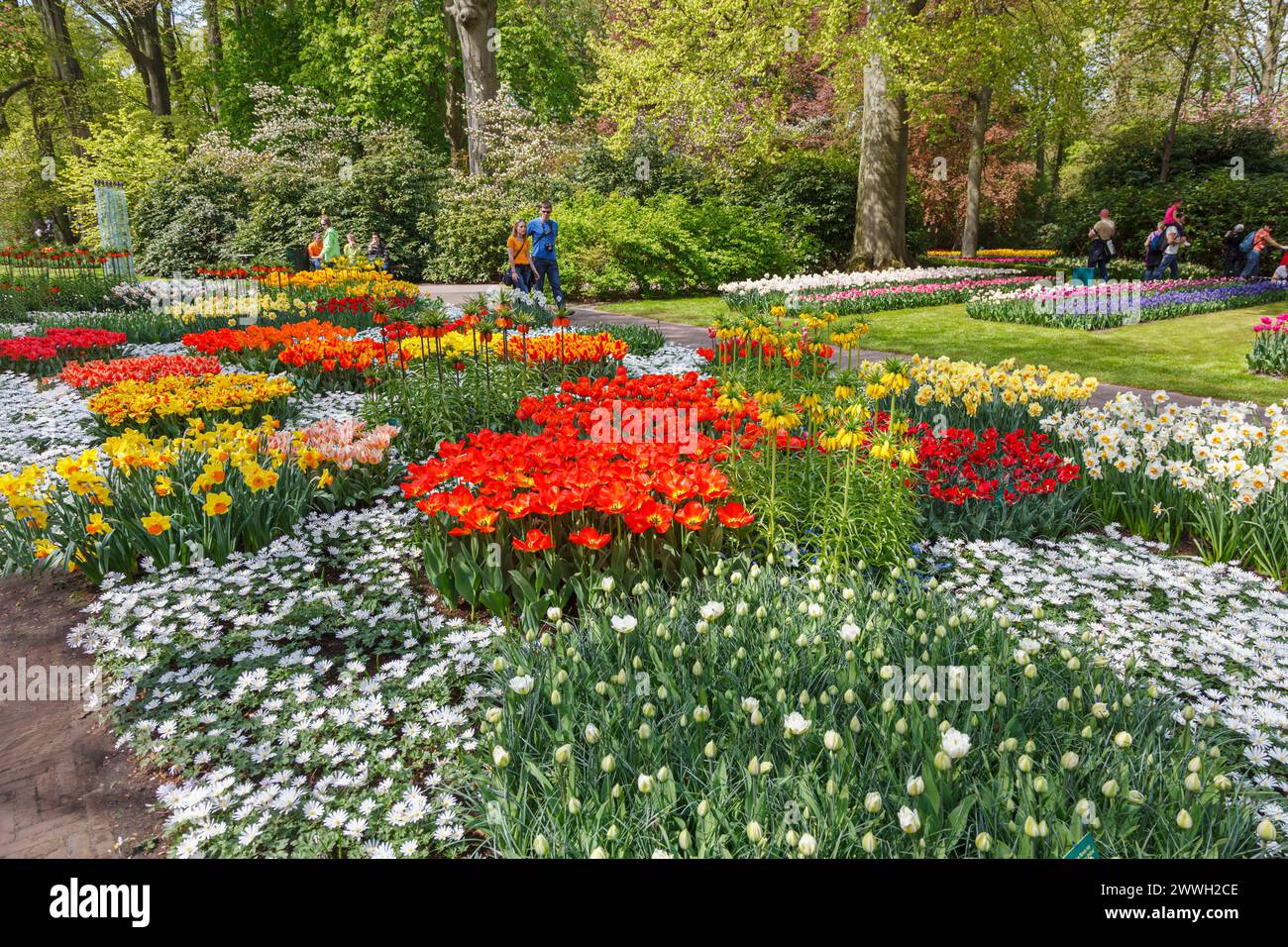 Im Frühling in den Gärten Keukenhof in Lisse, Holland, mit Tulpen und Narzissen in Blüte Stockfoto