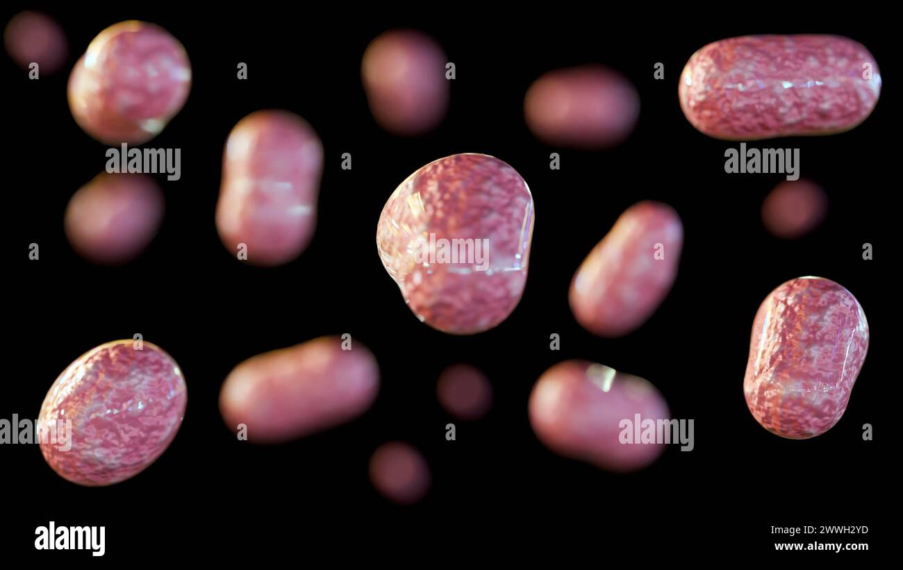 3D-Rendering des Bakteriums Francisella tularensis verursacht Tularämie-Krankheit Stockfoto