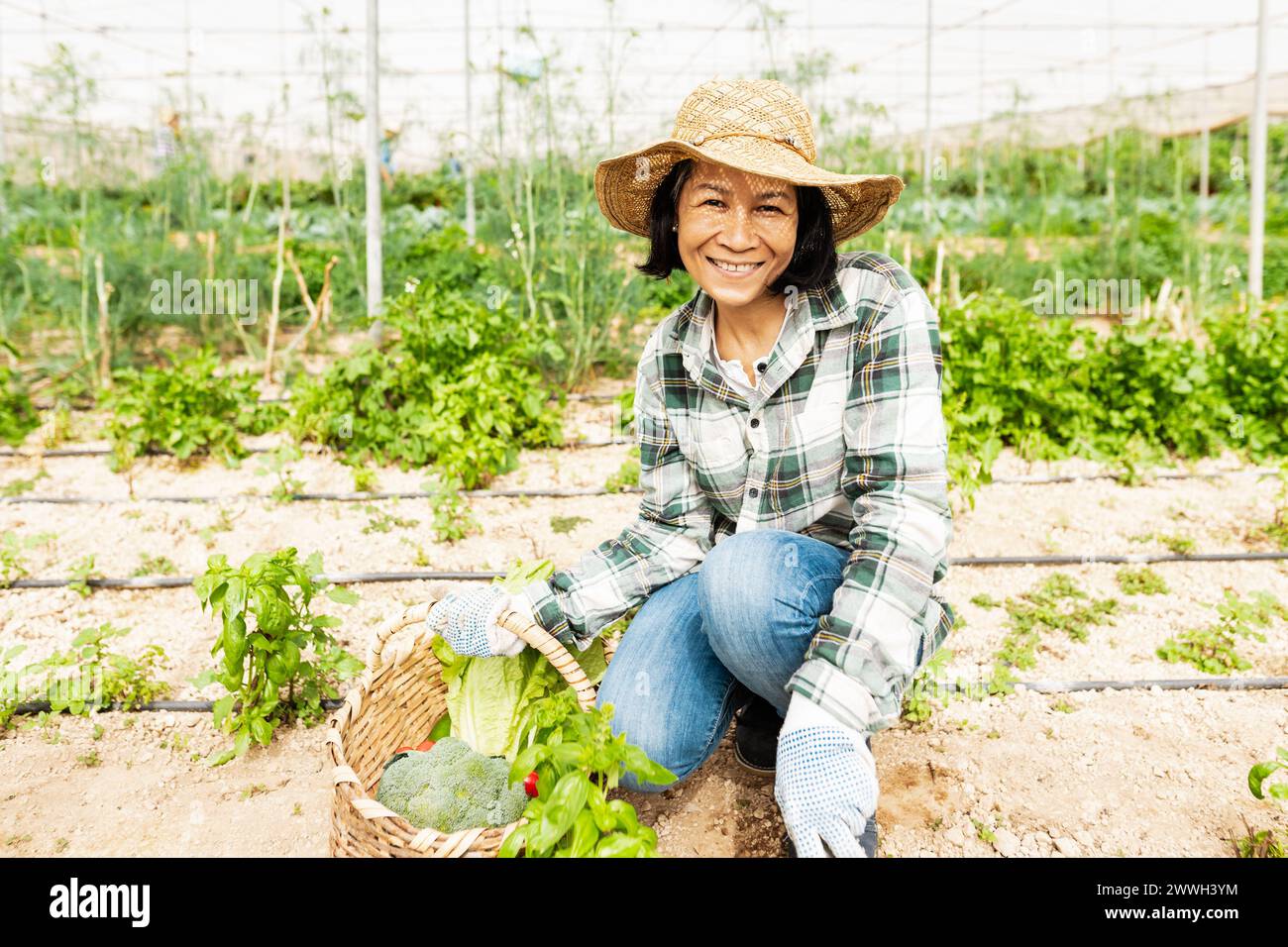 Glückliche südostasiatische Frau, die in einem landwirtschaftlichen Gewächshaus arbeitet - Farm People Lifestyle Konzept Stockfoto