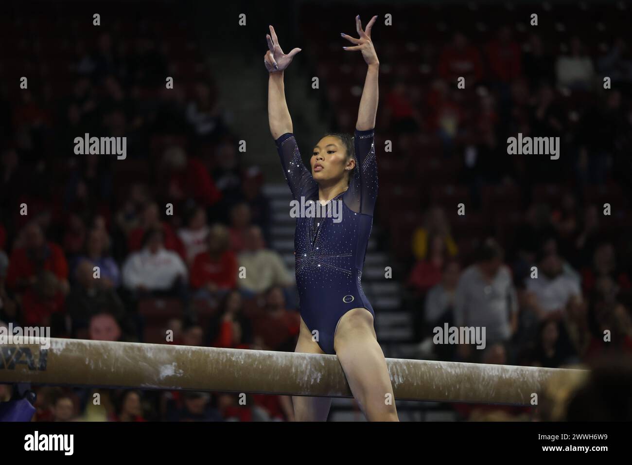 23. März 2024: Turnerin GABBY PEREA (University of California Berkeley) während der Pac-12 Gymnastikmeisterschaft 2024. Die Veranstaltung fand im Maverick Center in West Valley, Utah, statt. Melissa J. Perenson/CSM Stockfoto