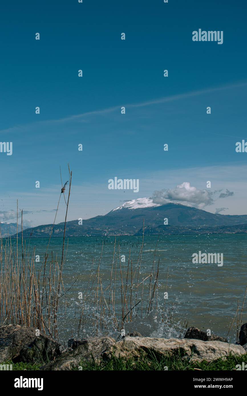 Blick über den Gardasee zu schneebedeckten Bergen mit Schilf im Vordergrund unter einem klaren blauen Himmel, Sirmione, Gardasee, Italien Stockfoto