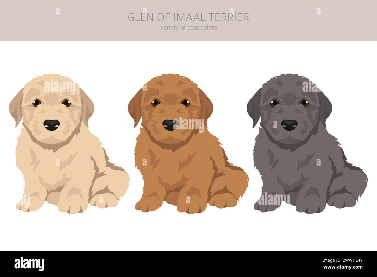 Glen of Imaal Terrier Welpen Clipart. Verschiedene Posen, Fellfarben gesetzt. Vektorabbildung Stock Vektor