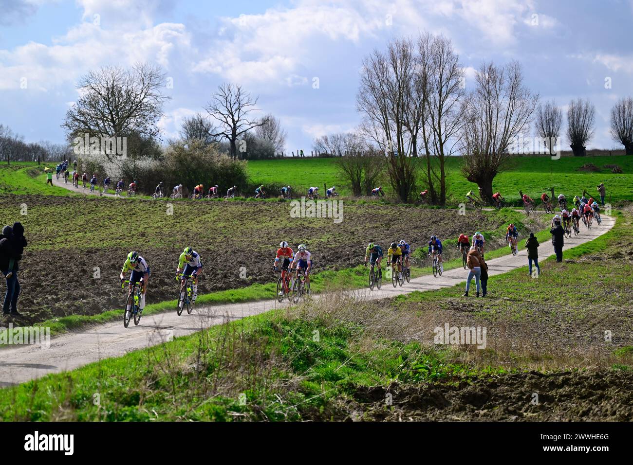 Wevelgem, Belgien. März 2024. Die Gruppe von Fahrern, die während des Gent-Wevelgem-Radrennens der Männer in Flanders Fields, 253,1 km von Ieper nach Wevelgem, am Sonntag, den 24. März 2024, in Aktion genommen wurden. BELGA FOTO DIRK WAEM Credit: Belga News Agency/Alamy Live News Stockfoto