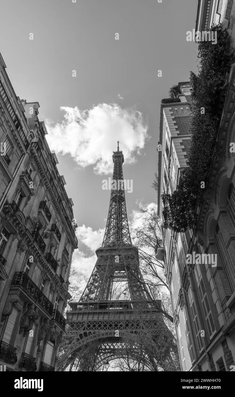 Der Eiffelturm in Schwarz-weiß, Paris, Frankreich Stockfoto