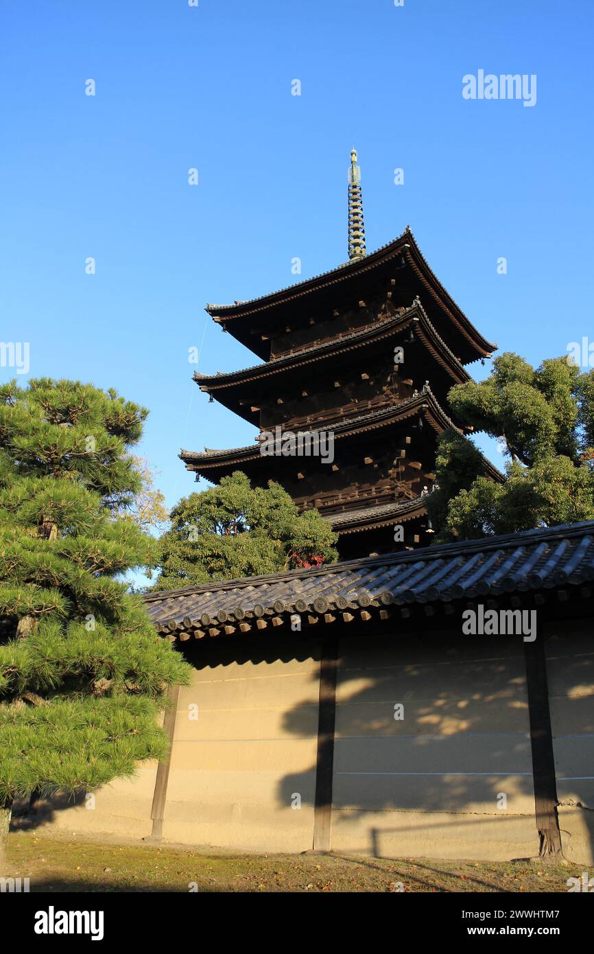 Toji-Pagode am frühen Morgen, in Kyoto, Japan Stockfoto