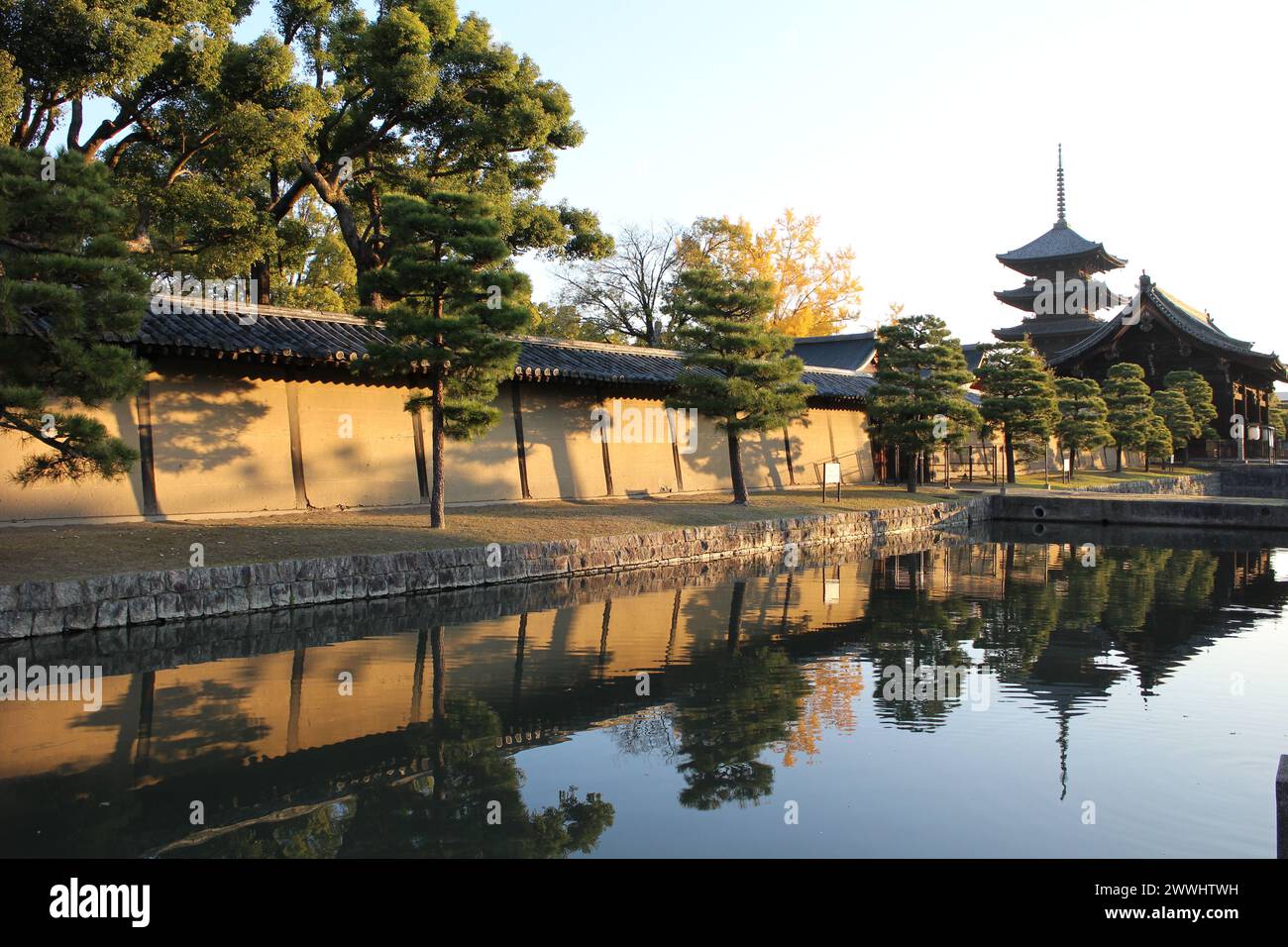 Toji-Pagode und Herbstlaub am frühen Morgen in Kyoto, Japan Stockfoto