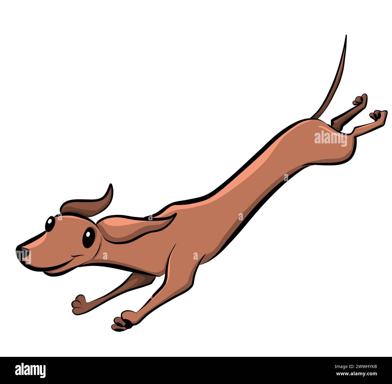 Dackel Dackel Copyright: XIMAGO/Zoonar.com/LindaxBrotkorbx 1039600676st Stockfoto