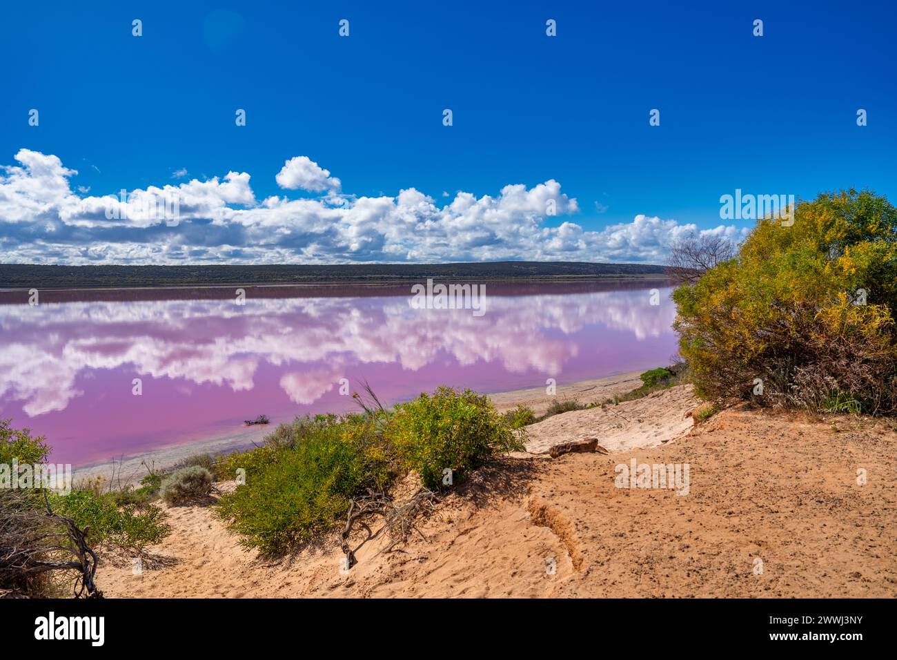 Farben und Reflektionen von Pink Lake, Port Gregory. Westaustralien. Stockfoto