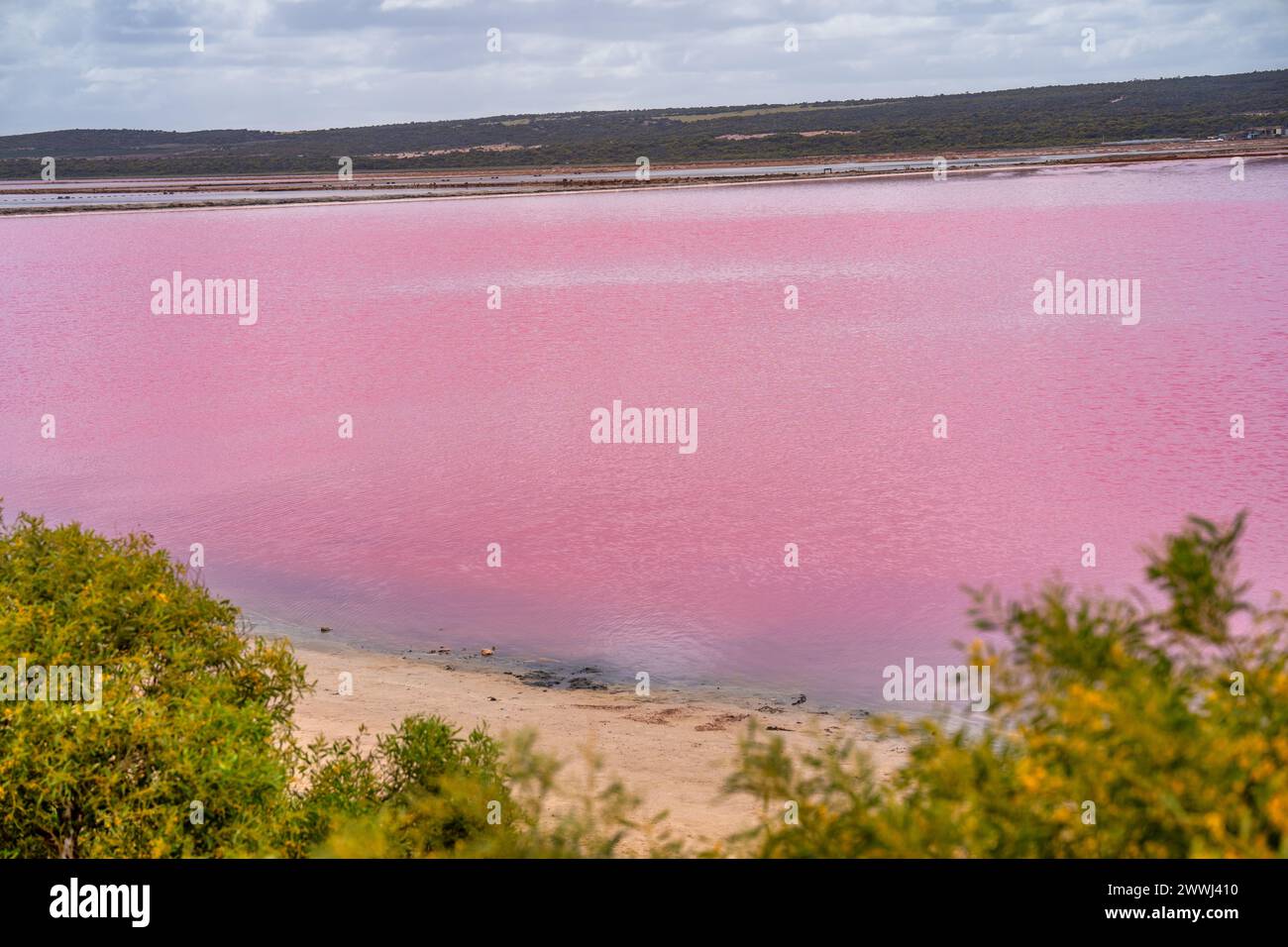 Farben und Reflektionen von Pink Lake, Port Gregory. Westaustralien. Stockfoto