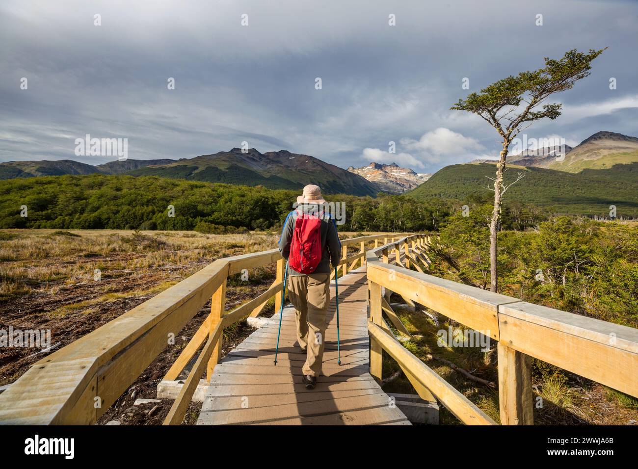 Mann auf Wanderung um Ushuaia, Ende der Welt, Argentinien, Südamerika Stockfoto