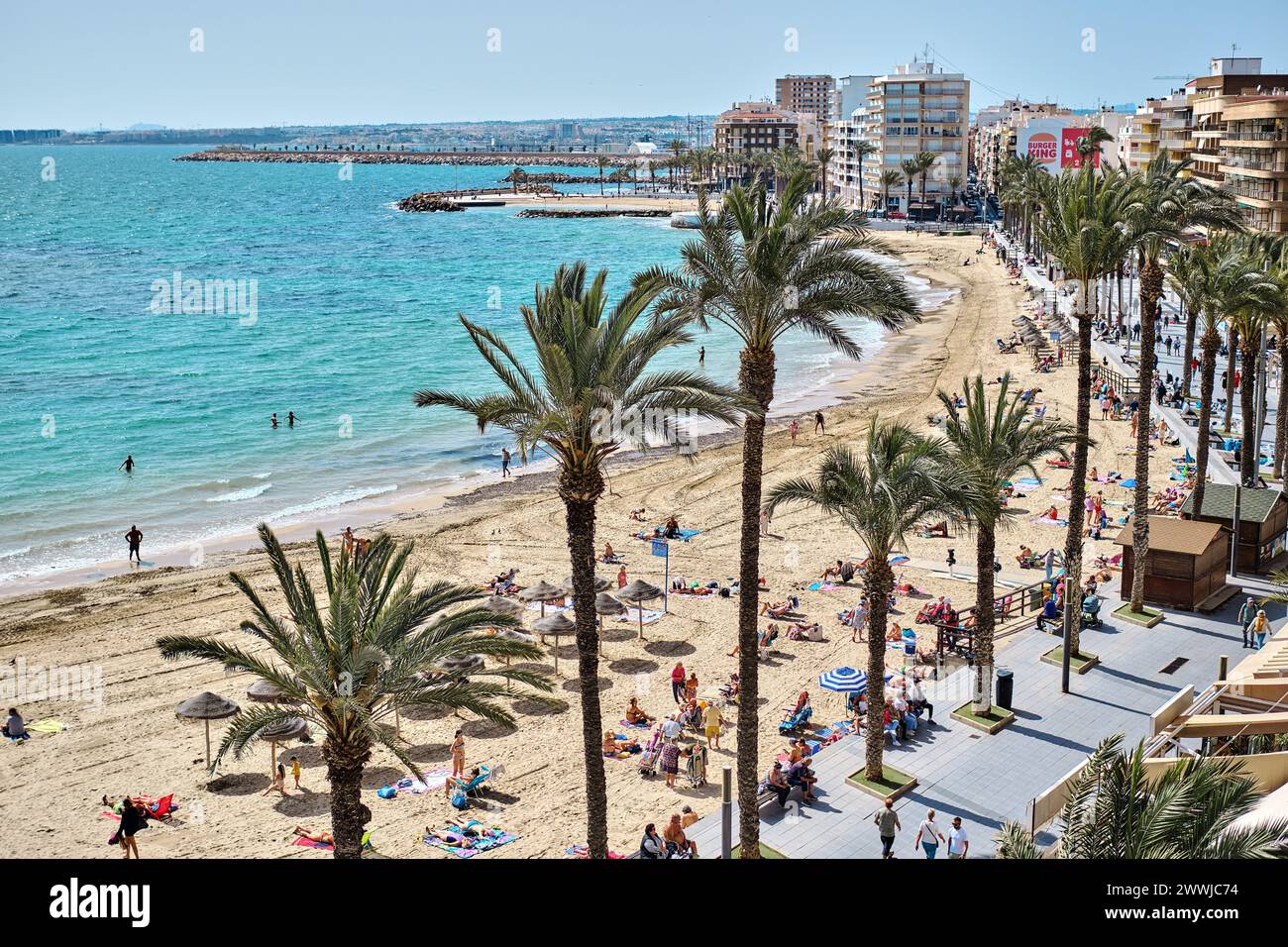 Torrevieja, Spanien-14. März 2024: Menschen Touristen Sonnenbaden am Strand von Playa del Cura, Blick von oben. Palmen gesäumte Promenade während Frühling sonne Stockfoto