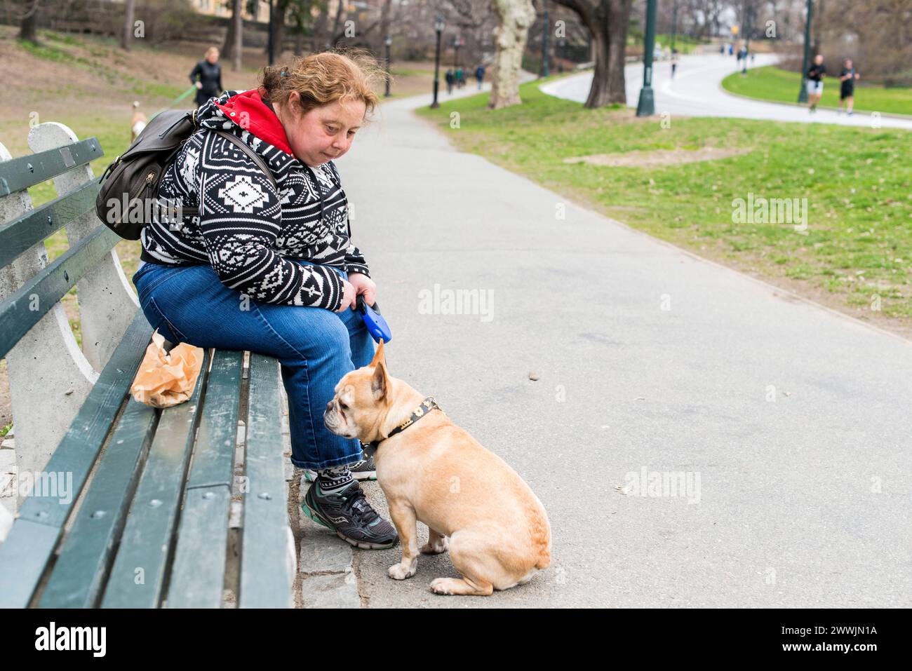 Dogwalker New York City, USA. Weibliche, kaukasische dogwalkerin, die den Hund eines ihrer Kunden durch Central Park, Manhattan, führt. MRYES New York City Central Park, Manhattan New York Vereinigte Staaten von Amerika Copyright: XGuidoxKoppesx Stockfoto