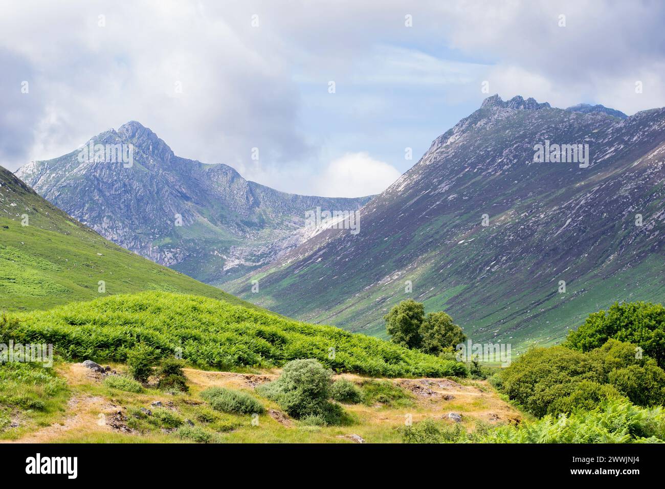 Zerklüftete und felsige Hügel in der schottischen Natur Stockfoto