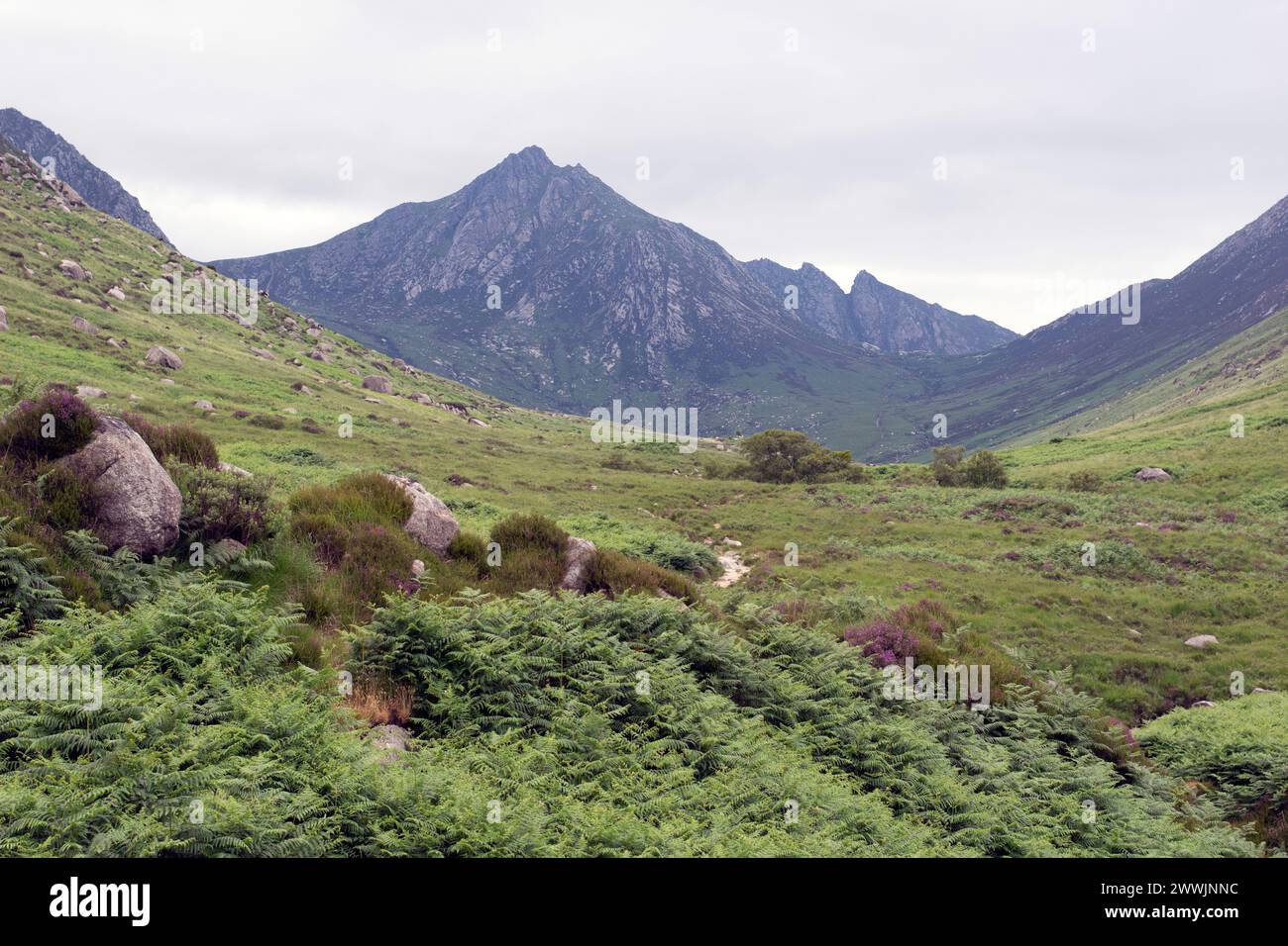 Blick auf die Glen Rosa Wanderroute auf der Isle of Arran, Schottland, Großbritannien Stockfoto