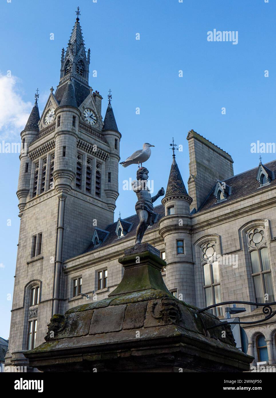 Hering Gull thront auf der Mannie the Green Statue auf dem alten Brunnen vor dem Aberdeen Town House, Castlegate, Aberdeen, Aberdeenshire, Schottland, UK Stockfoto