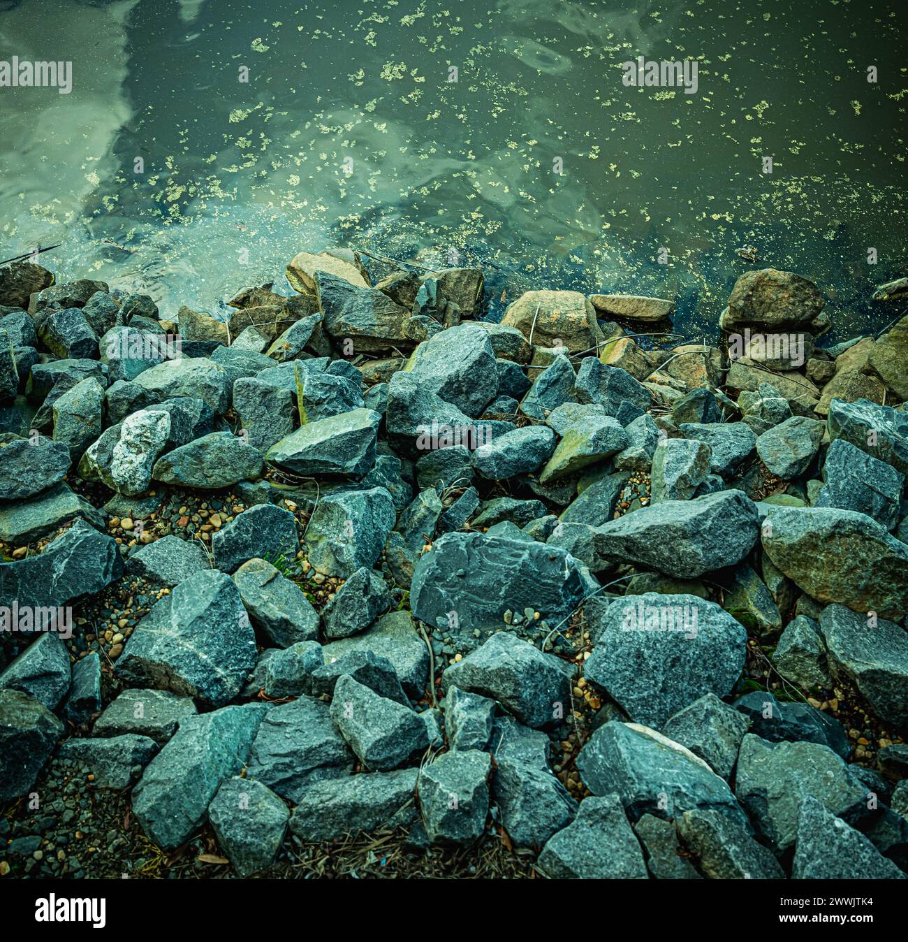 Felsen am Wasserrand mit verstreuten Blättern Stockfoto