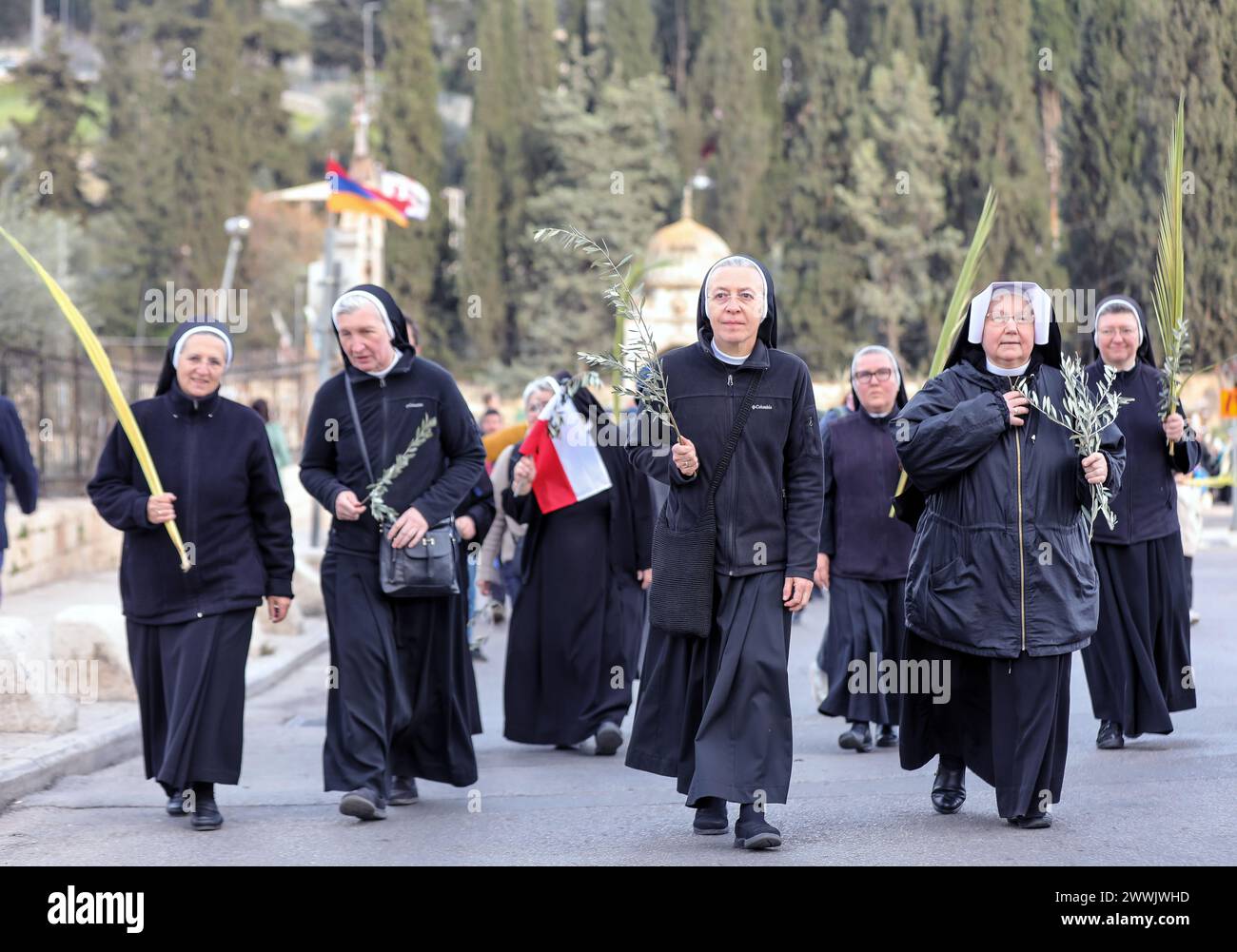 Jerusalem, Israel. März 2024. Nonnen marschieren bei der katholischen Prozession am Sonntag. Sie halten Olivenzweige und Dattelpalmen. Quelle: Yoram Biberman/Alamy Live News. Quelle: Yoram Biberman/Alamy Live News Stockfoto