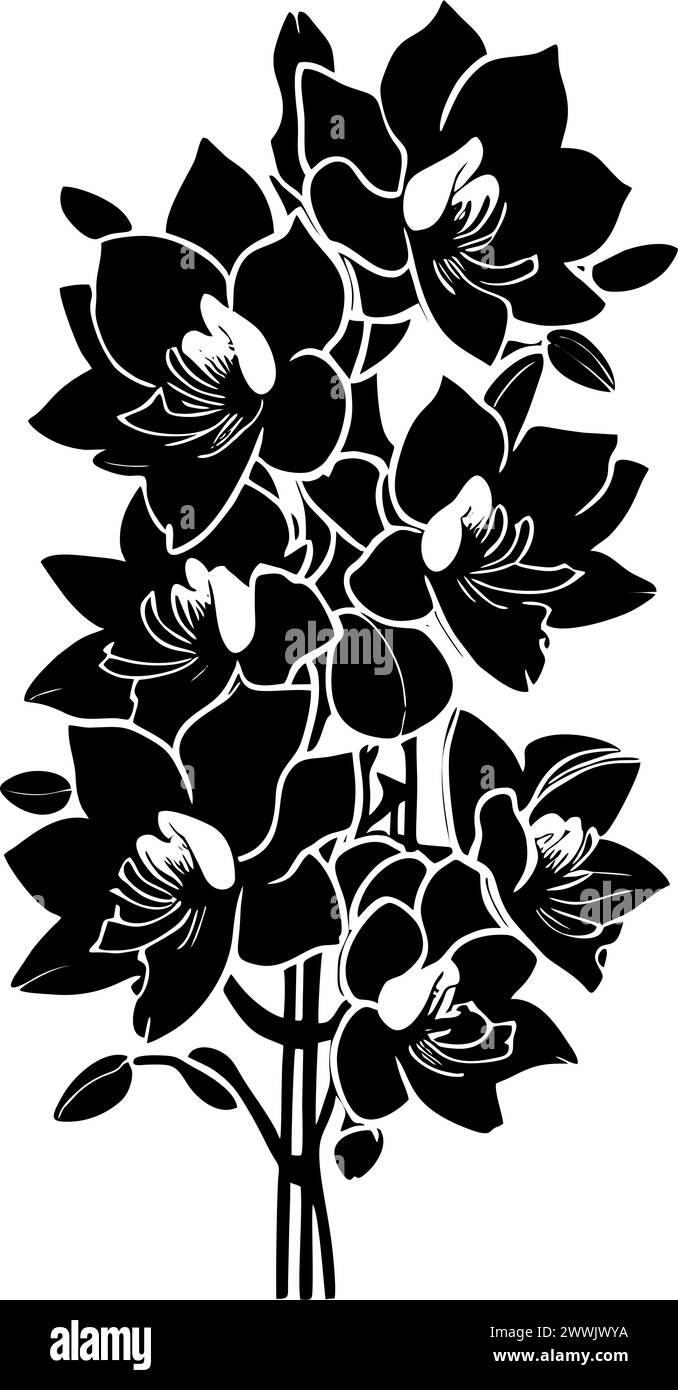 Einfache schwarze Umrisszeichnung Silhouette einer Orchideenblume, Design Stockfoto