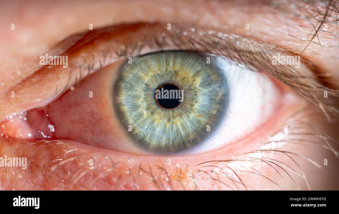 Beschreibung: Männliches Blau-Grünes Auge Mit Wimpern. Pupille geschlossen. Nahaufnahme. Strukturelle Anatomie. Makrodetails Für Menschliche Blende. Stockfoto