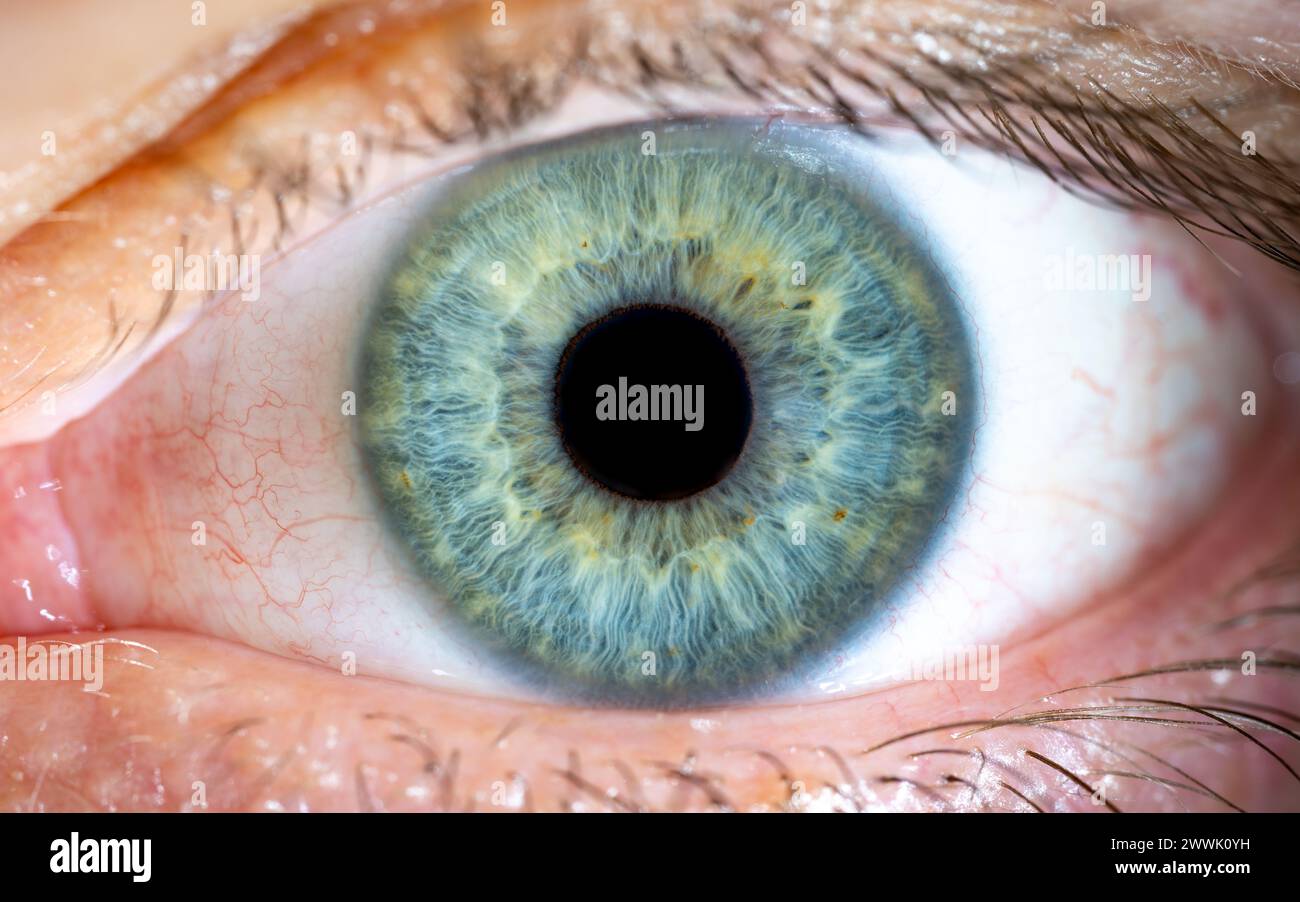 Beschreibung: Hohe Vergrößerung des blau-grün gefärbten männlichen Auges mit Wimpern. Pupille Geöffnet. Nahaufnahme. Strukturelle Anatomie. Makrodetails Für Menschliche Blende. Stockfoto