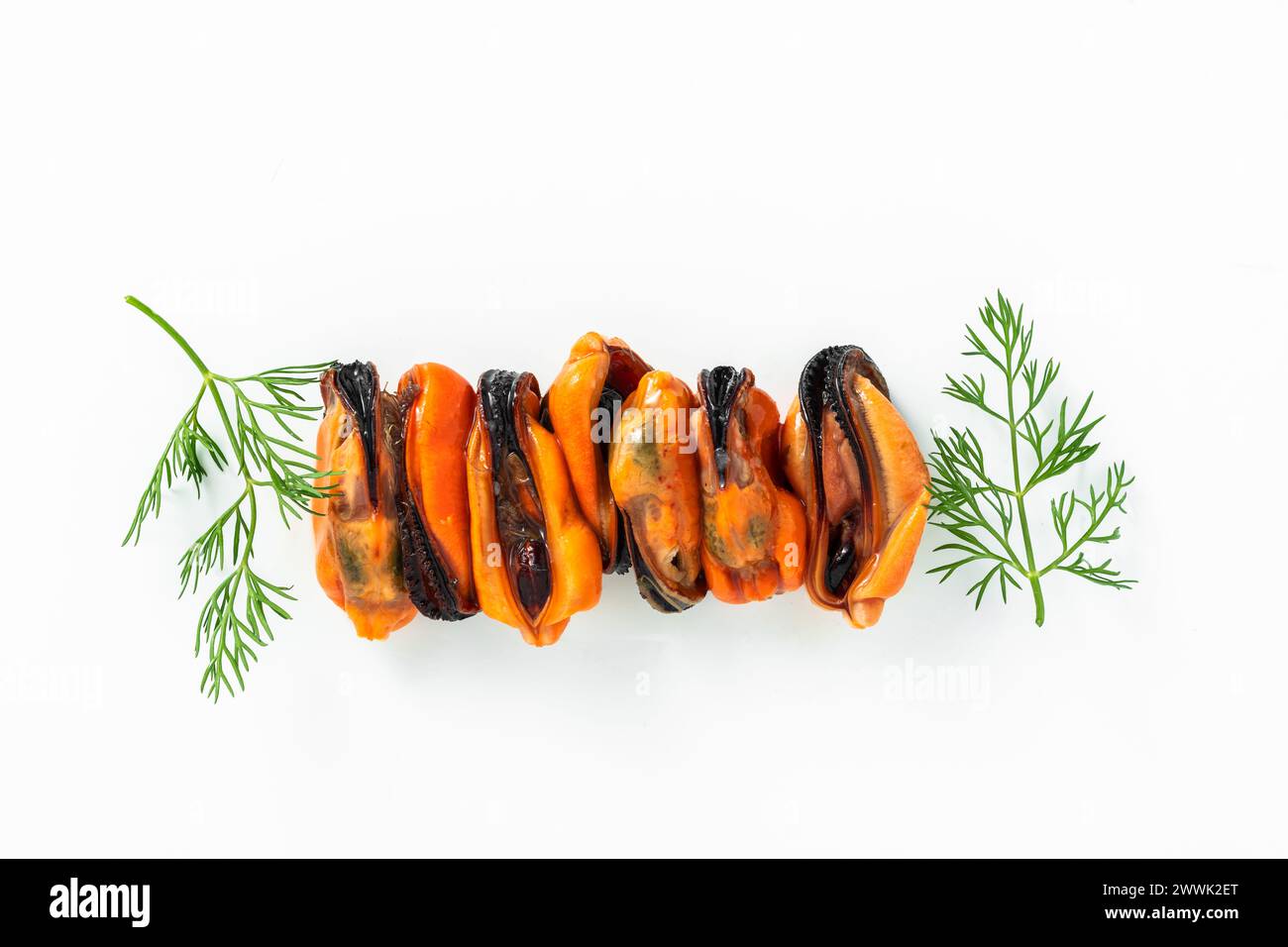 Geschälte Muscheln mit Zitrone und Dill auf weißem Hintergrund Stockfoto