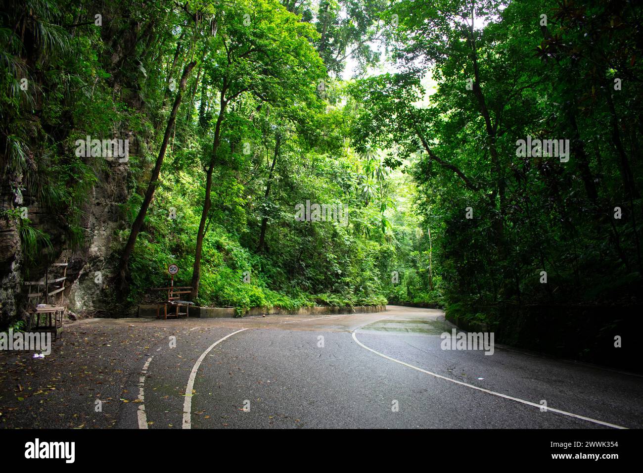 Wet Winding Road in Forrest in Fern Gully Jamaica Stockfoto