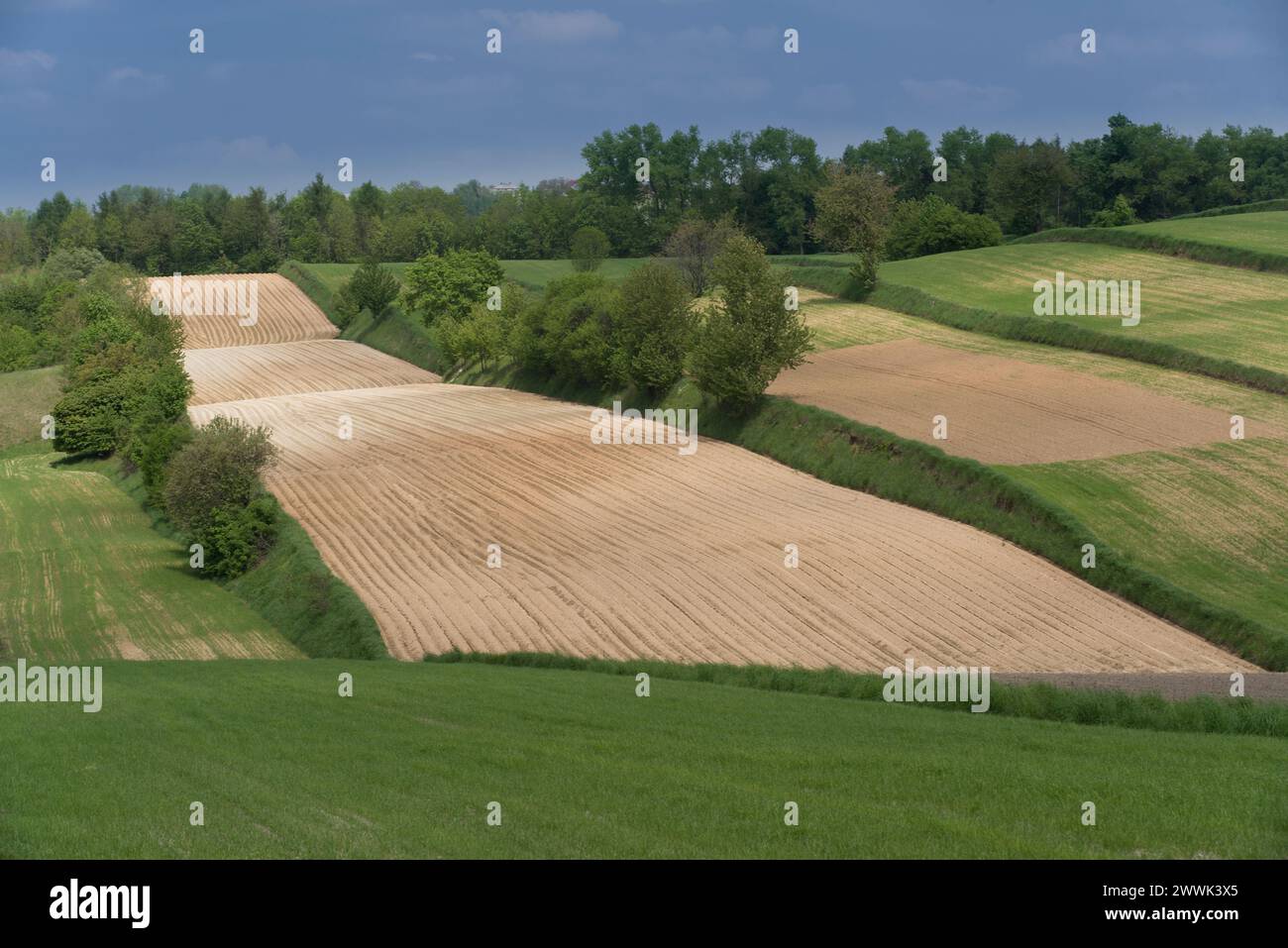 Ländliche Landschaft, Miechowska-Hochland, Kleinpolen Stockfoto