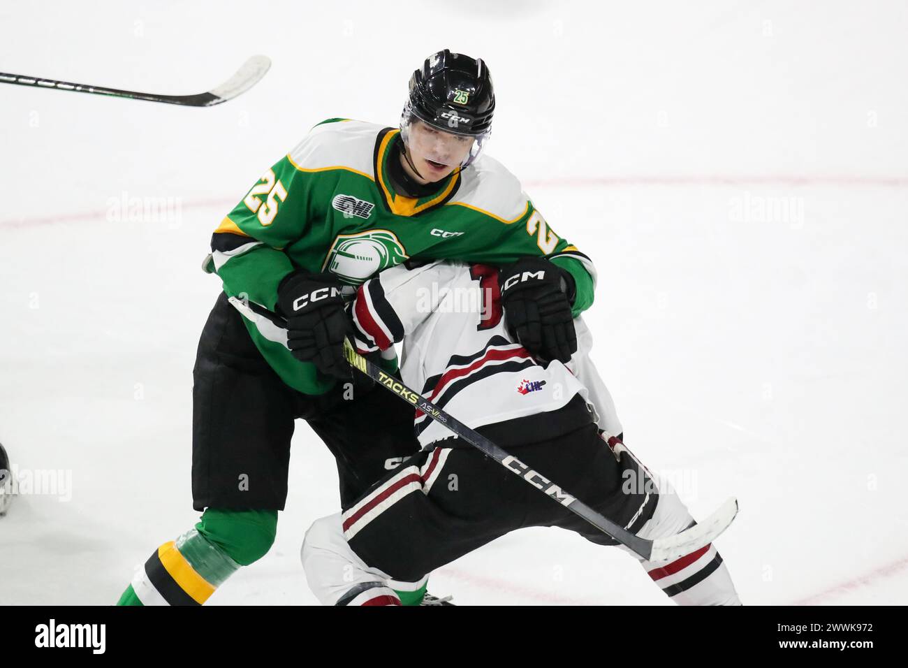 London, Kanada. März 2024. Die London Knights besiegen den Guelph Storm 3-0 im letzten Spiel der Saison 2023-2024. Kaleb Lawrence (25) von London Knights bekämpft Jake Karabela (10) von Guelph Storm während der zweiten Periode. (NUR REDAKTION) Lob: Luke Durda/Alamy Live News Stockfoto