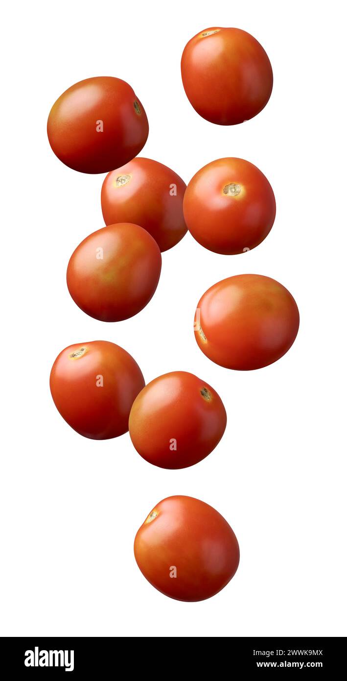 Fallende Tomaten, solanum lycopersicum, gereifte oder reife essbare Früchte, die in einer breiten Palette von Gerichten mit gesundheitlichen Vorteilen verwendet werden, isoliert auf weißem Hintergrund Stockfoto