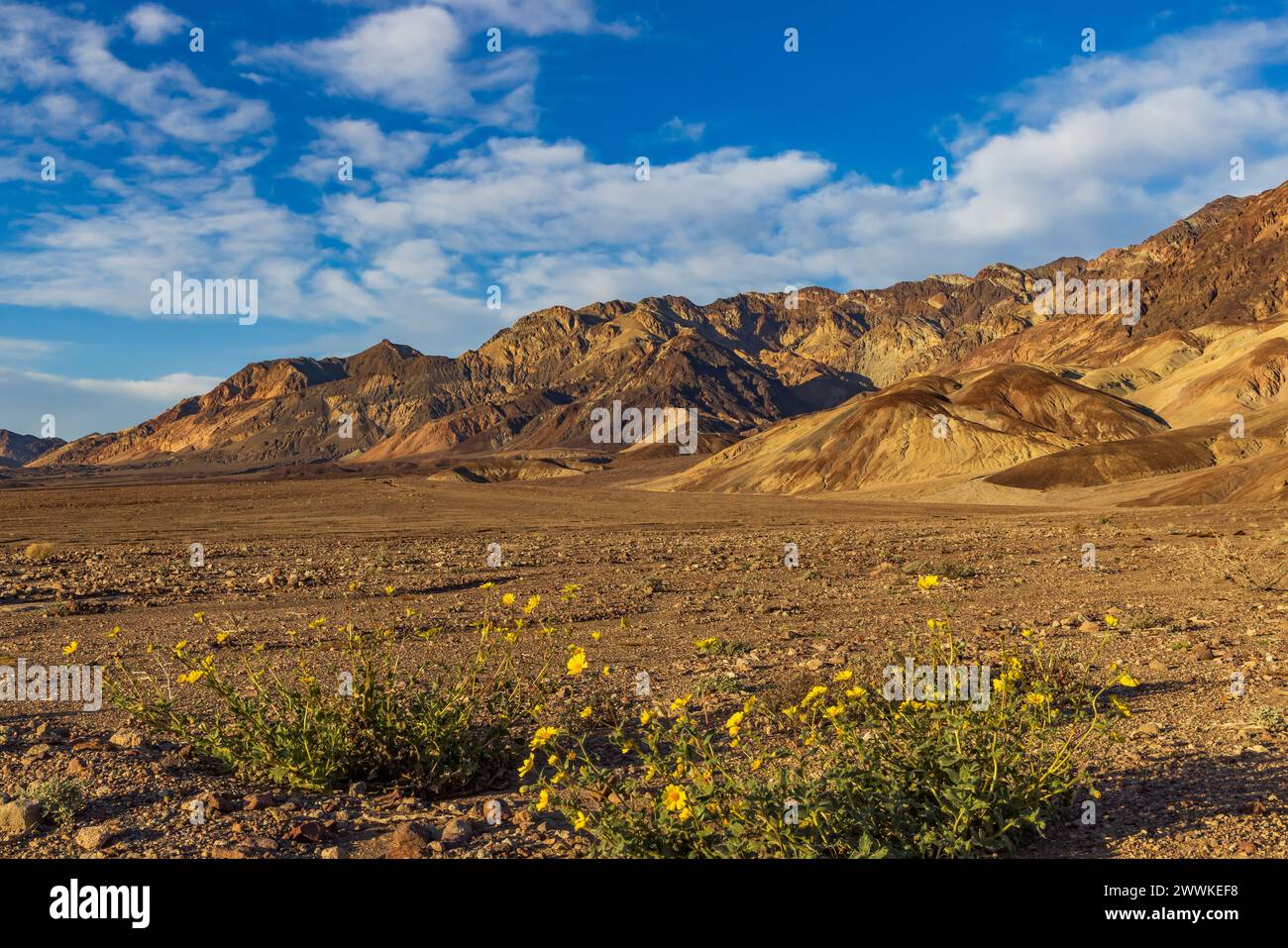 Dies ist ein Blick am späten Nachmittag auf die Artists Palette Area im karamellfarbenen Amargosa Range des Death Valley National Park, Inyo County, CA, USA. Stockfoto