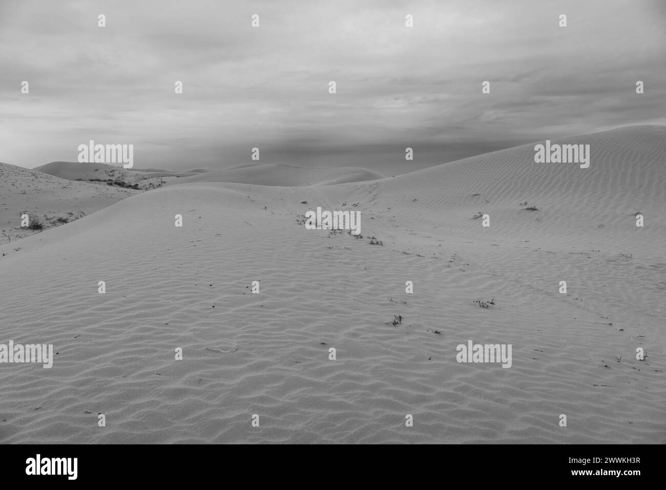 Tengger Wüstenlandschaft, Innere Mongolei, China. Das windige Wetter mit Sand, der sich auf den Dünen bewegt, SCHWARZ-WEISS Stockfoto