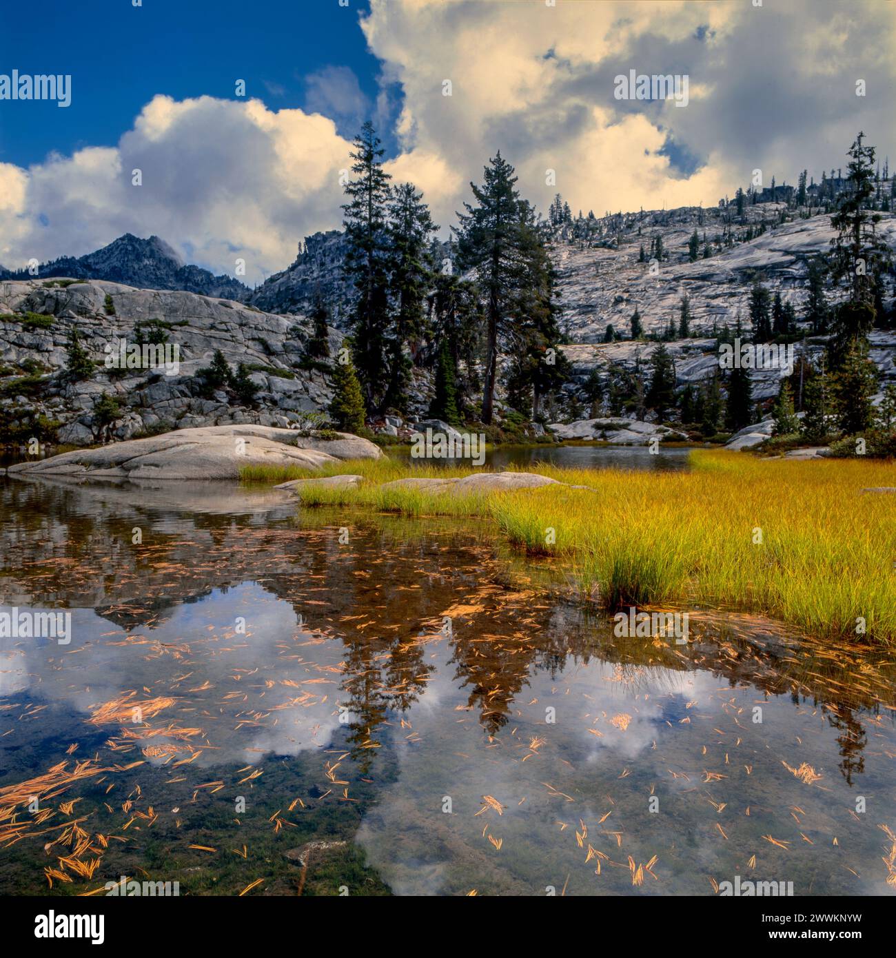 Boulder Creek Lake, Trinity Alps Wilderness, Shasta-Trinity National Forest, Kalifornien Kopie Stockfoto