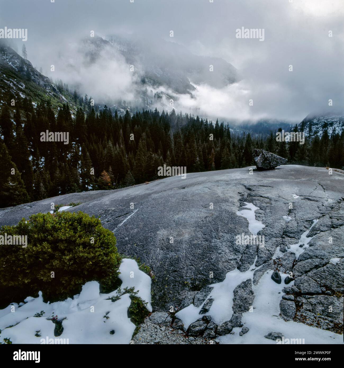 Räumungssturm, Granit, Canyon Creek, Trinity Alps Wilderness, Shasta-Trinity National Forest, Kalifornien Stockfoto