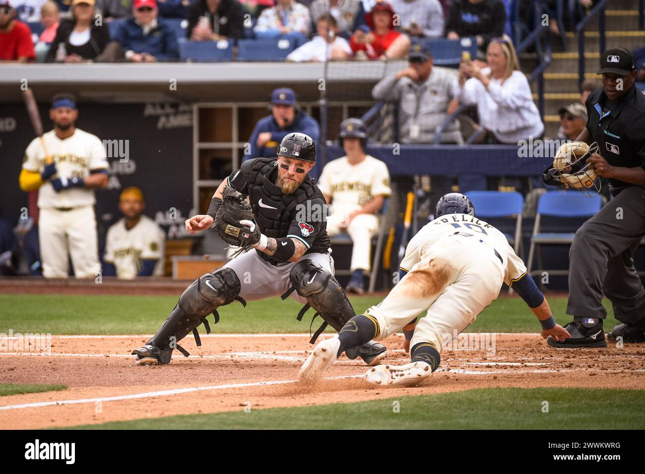 Der Milwaukee Brewers Outfield Sal Frelick (10) vermeidet im dritten Inning eines MLB-Spri den Tag von Arizona Diamondbacks-Fänger Tucker Barnhart (16) Stockfoto