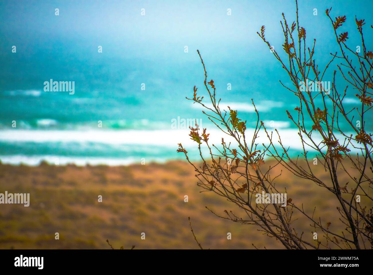 Tauchen Sie ein in die Ruhe eines blauen Meeres bei nebeligem Wetter, wo das Meer auf den ätherischen Dunst trifft und eine ruhige und geheimnisvolle maritime Szene schafft. Stockfoto