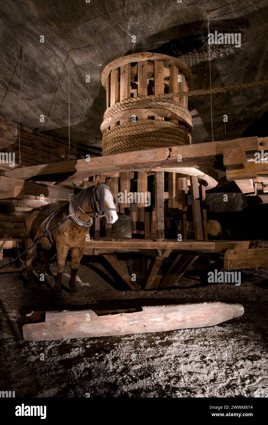 Salzbergwerk Wieliczka, Polen Stockfoto