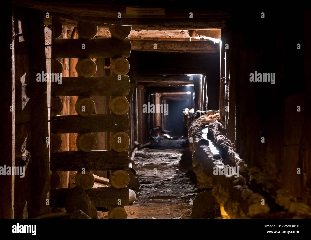 Salzbergwerk Wieliczka, Polen Stockfoto