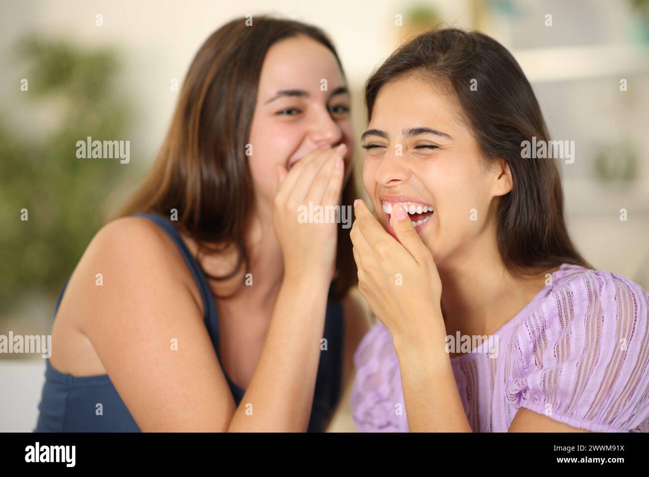 Glückliche Klatschmädchen erzählen Geheimnisse und lachen zu Hause Stockfoto