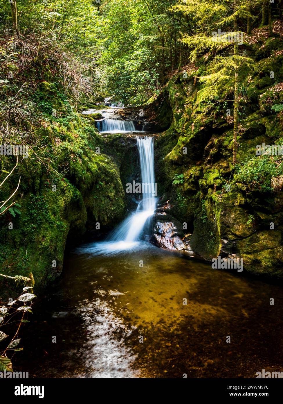 Wasserfall mit glattem Wasser, das über zerklüftete Felsen tief im Wald mit grünen und gelben Highlights kaskadiert Stockfoto