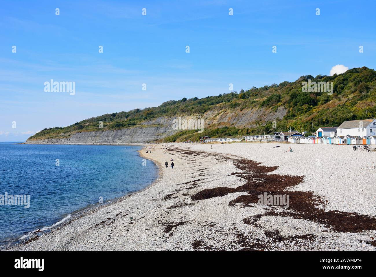 Blick entlang des Strandes in Richtung der Klippen der Jurassic Coast, Lyme Regis, Dorset, Großbritannien, Europa. Stockfoto
