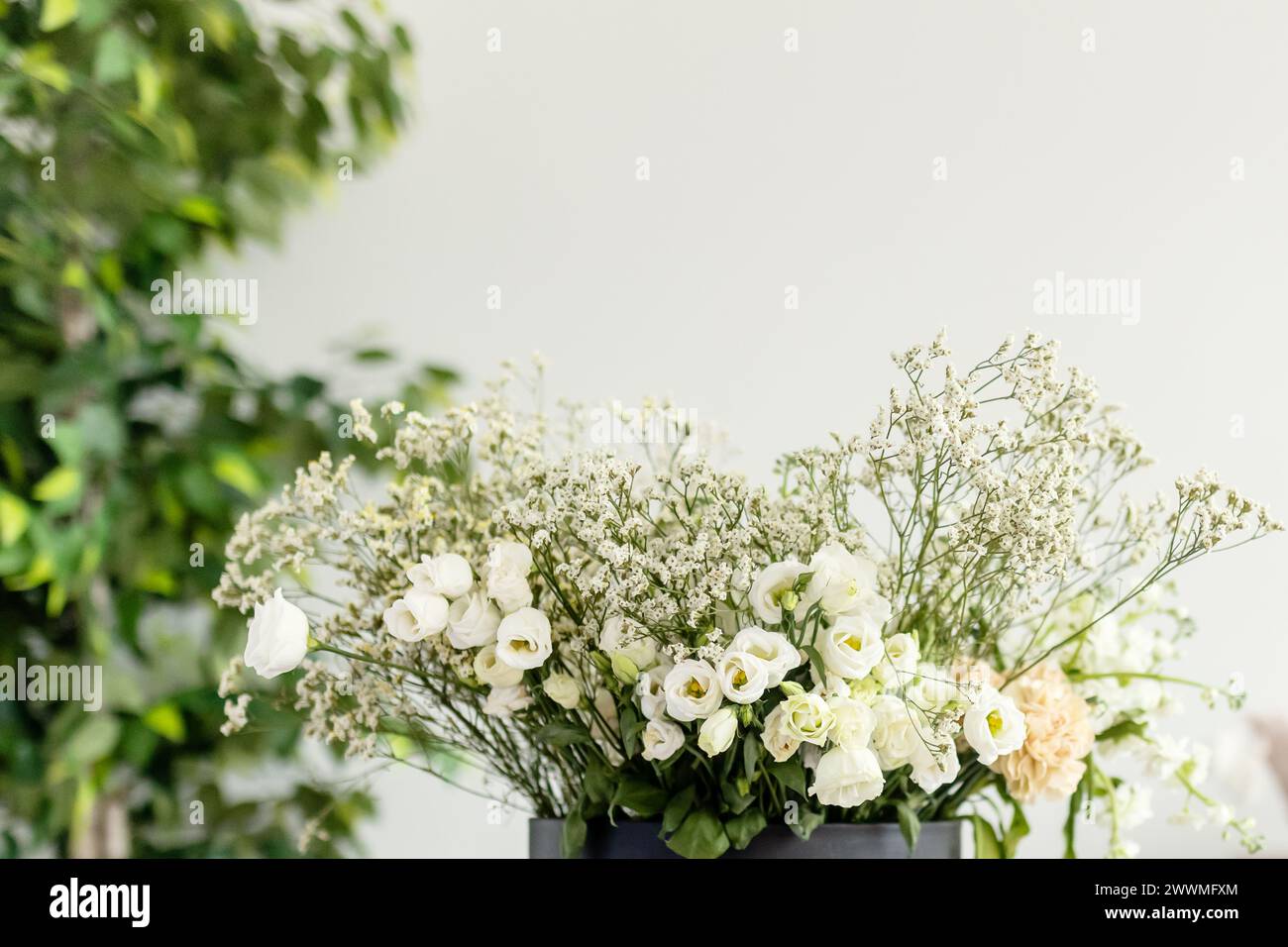 Weißes Blumenarrangement vor weißem Hintergrund mit negativem Raum Stockfoto